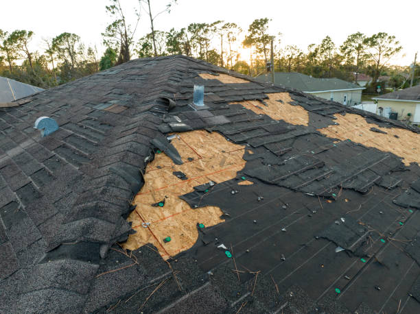 Best Steel Roofing  in Redwood Valley, CA